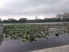 江南大学-江南大学(蠡湖校区)
