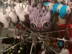 -猫咪博物馆(顶澳仔猫街店)