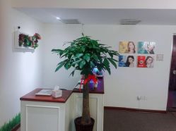 -谜秀专业半永久纹眉纹绣美瞳线洗眉