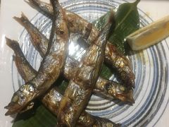-酒井酱子·深夜食堂(东城汇店)