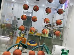 -极木²邸 人与宠物·互动社区