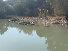 -宁波野生动物园