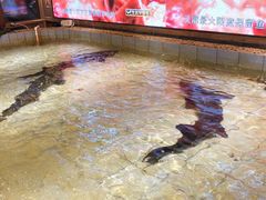 -胖姐渔村(中源大道店)