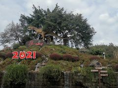 -自贡恐龙博物馆