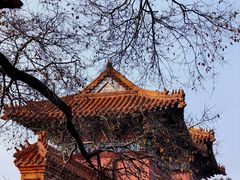 -北陵公园