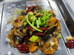 -永乐啤酒屋(成武路店)