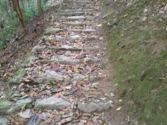 -雁荡山三折瀑景区