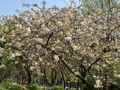 -江南大学(蠡湖校区)