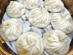 -莱莱小笼·乔艾