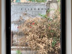 -素咫咖啡CLIFEROSE