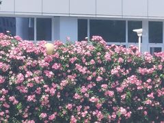 -永旺梦乐城(武汉金桥店)