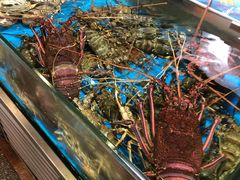 水产区-东江海鲜酒家(客村店)