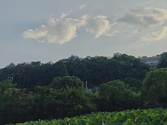-贵阳市花溪国家城市湿地公园