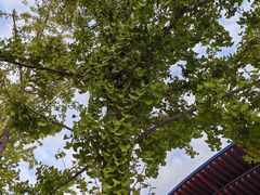 -北京雁栖湖国际会展中心