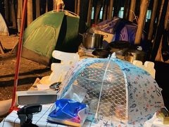 -山王坪喀斯特国家生态公园