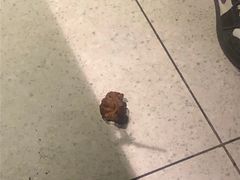 -半天妖烤鱼(丽金广场店)