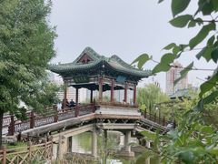 -迎泽公园