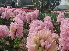 -玄武湖景区-情侣园游乐场