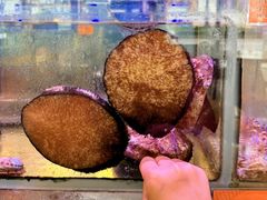 -好彩海鲜火锅饭店(银河百老汇店)