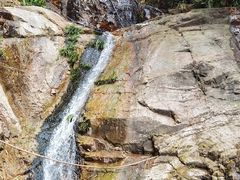 -天门沟九州驿站树上汤泉