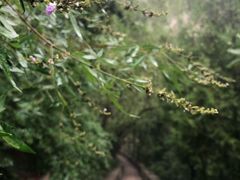 -碓臼峪自然风景区