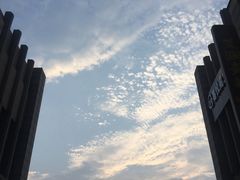 -1点点(二七万达店)