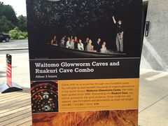 -怀托摩萤火虫洞