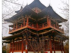 -西安青龙寺遗址景区