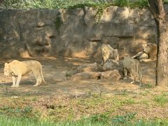 -北京野生动物园