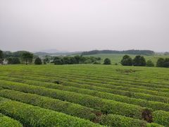 -凤凰沟景区
