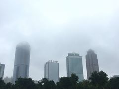 -万绿园