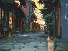-珀丽酒店-协奏坊餐厅