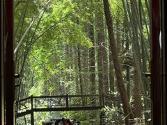 -同里国家湿地公园
