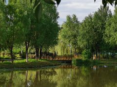 -东郊湿地公园