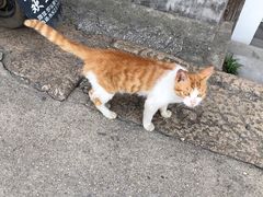 -邱记私房菜·十八年本地菜