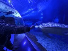 -多彩贵州城极地海洋世界