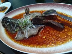 -曼格纳·曼芯馆(杨浦店)