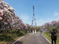-永州阳明山国家森林公园