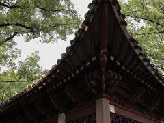 -天一阁博物院