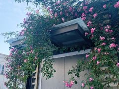 -上海山野camping·户外天幕烧烤·团建拓展营地