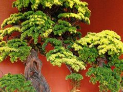 -阿伟海鲜楼·福建菜(延寿店)