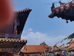 -大召无量寺