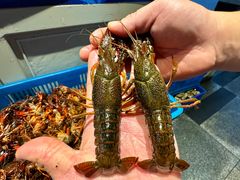 -蚝翅·海鲜粥·烧烤·龙虾季(海曙天一店)