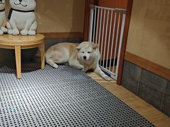 -大江户·温泉洗浴(浑南店)