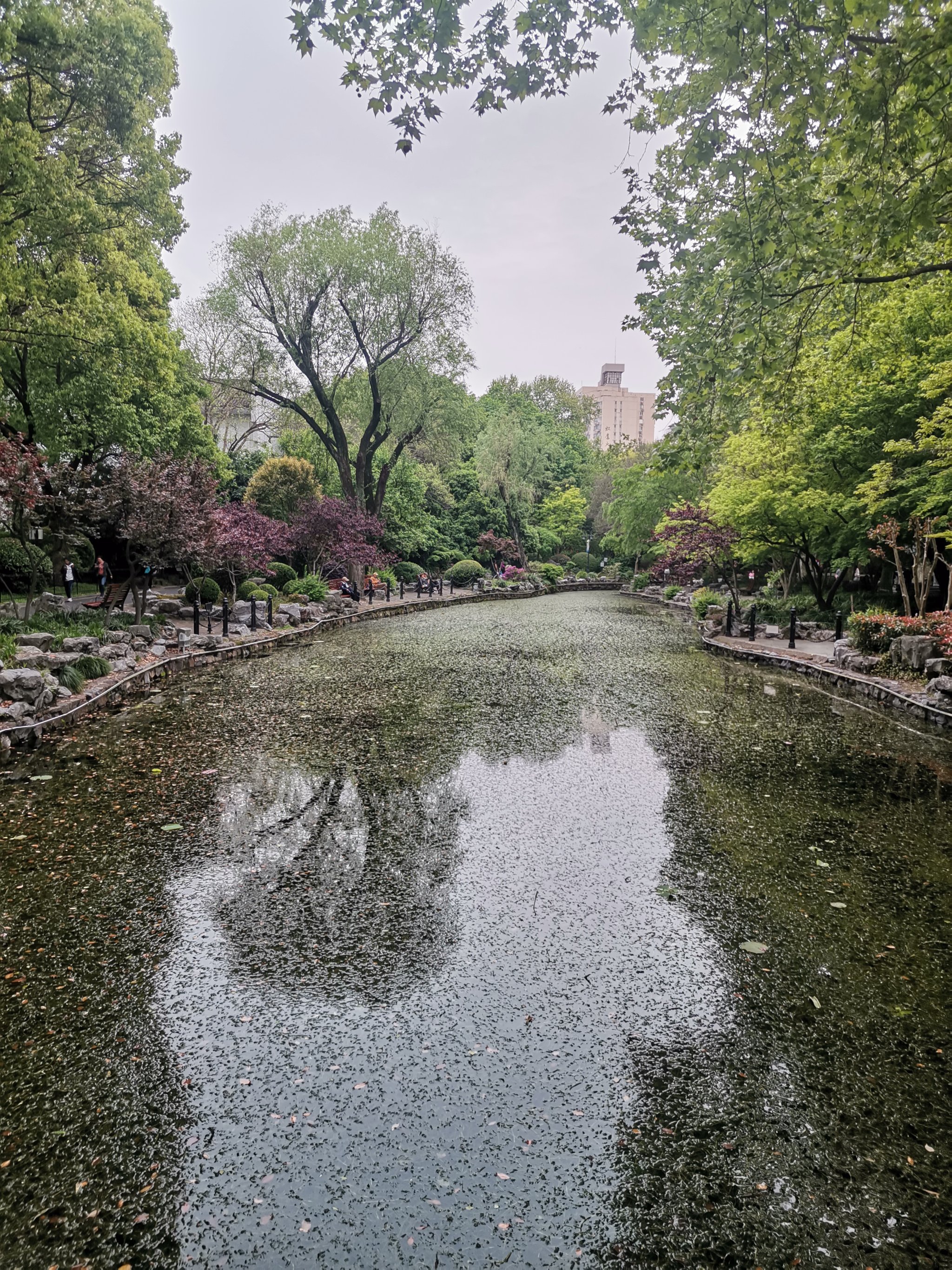 落花流水手机壁纸图片