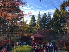 -庐山风景区花径公园