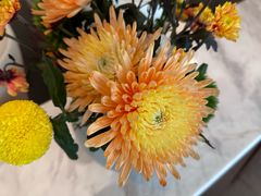 -南堂馆·新川菜(春熙路店)