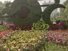 -西清公园