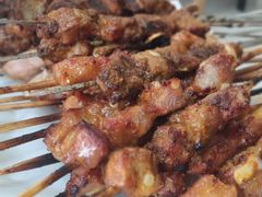 -胖太太四川麻辣排骨串(镇江路分店)