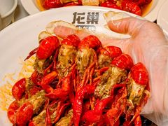 -龙巢盱眙龙虾·牛蛙·烧烤宵夜(八卦岭店)